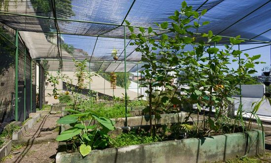27-03-2019-Unidade-Sesc-Niterói--Fotos-Erbs-Jr.---0993
