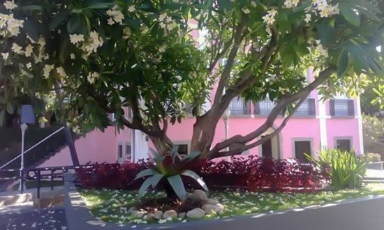 Sesc Tijuca