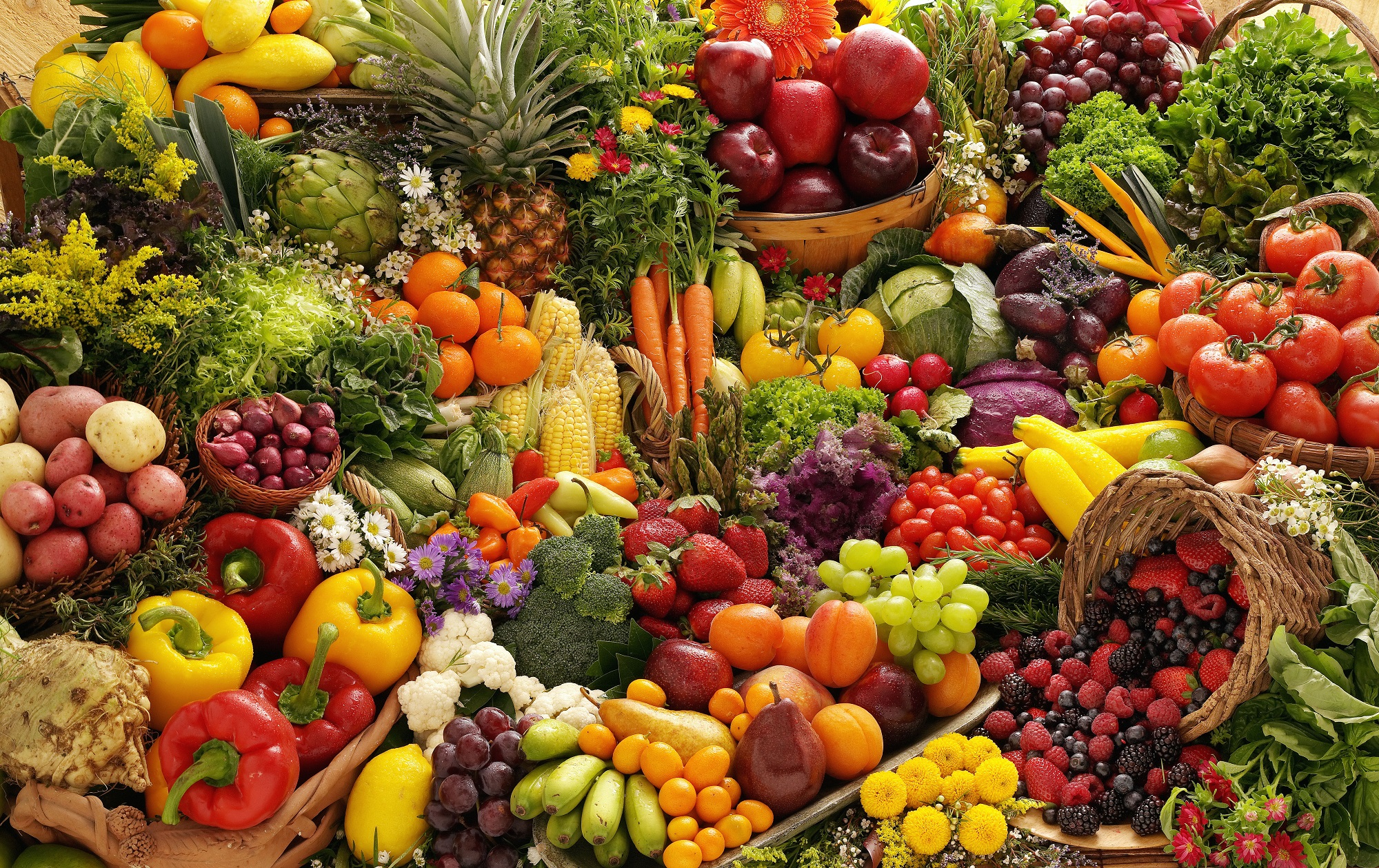 Cartilha Pequeno Gourmet - Alimentação saudável