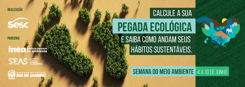 pegada-ecologica-2