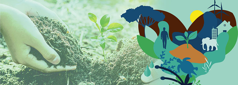 Mudanças climáticas e refugiados ambientais Sustentabilidade News