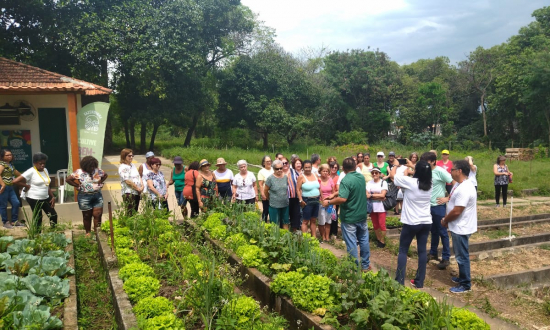 Fazendinha Sesc