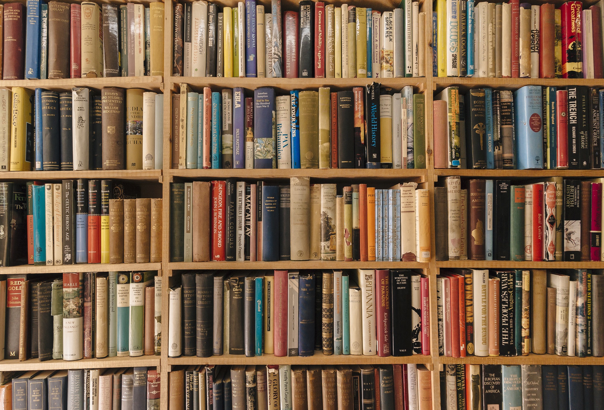 Estante repleta de livros, simbolizando o projeto literário para mulheres no Sesc Niterói, que oferece formação sobre feminismos latino-americanos.
