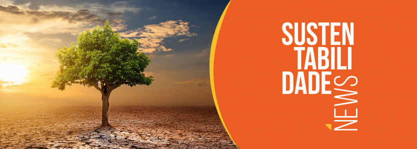 Sustentabilidade News